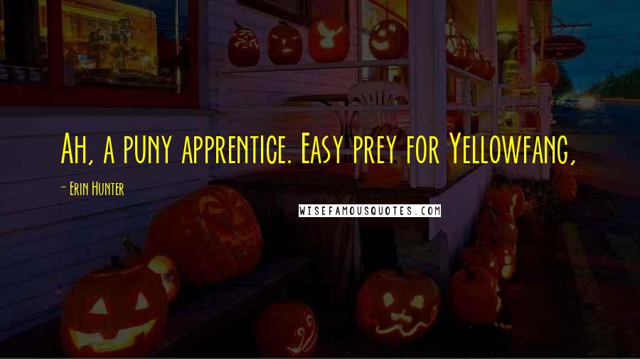 Erin Hunter Quotes: Ah, a puny apprentice. Easy prey for Yellowfang,