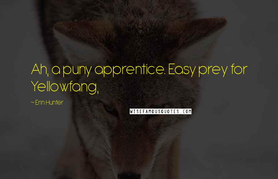 Erin Hunter Quotes: Ah, a puny apprentice. Easy prey for Yellowfang,