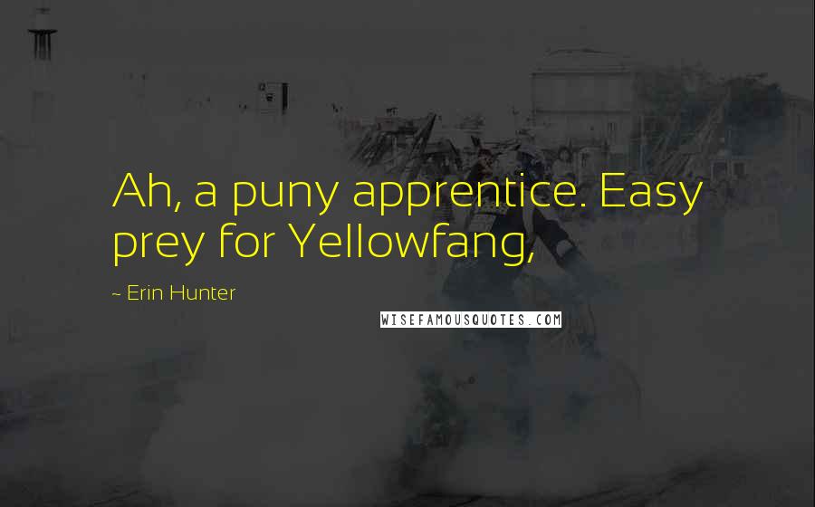 Erin Hunter Quotes: Ah, a puny apprentice. Easy prey for Yellowfang,