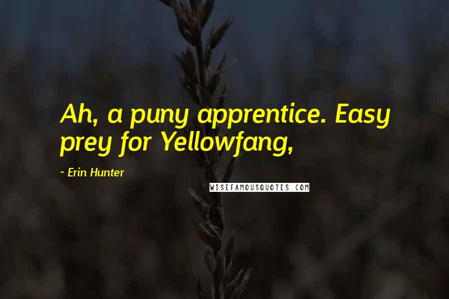 Erin Hunter Quotes: Ah, a puny apprentice. Easy prey for Yellowfang,