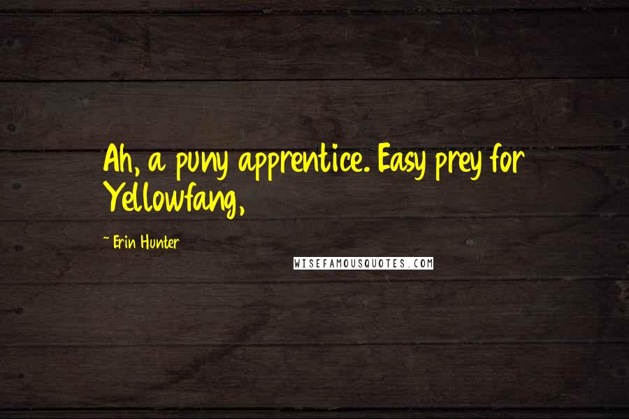 Erin Hunter Quotes: Ah, a puny apprentice. Easy prey for Yellowfang,