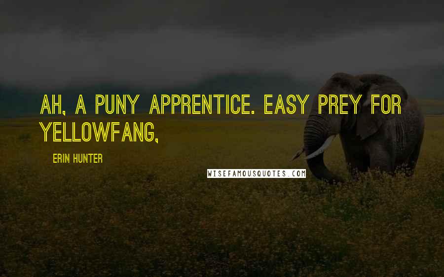 Erin Hunter Quotes: Ah, a puny apprentice. Easy prey for Yellowfang,