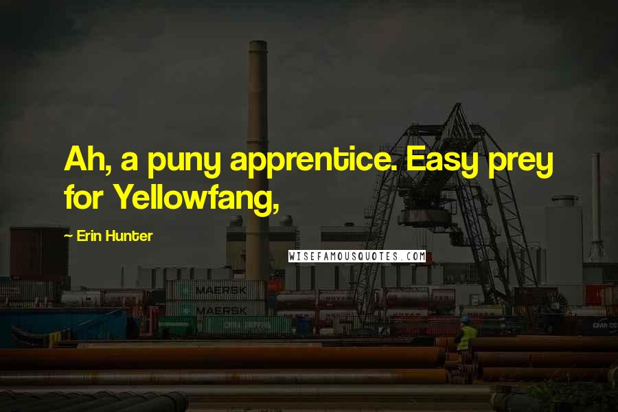 Erin Hunter Quotes: Ah, a puny apprentice. Easy prey for Yellowfang,