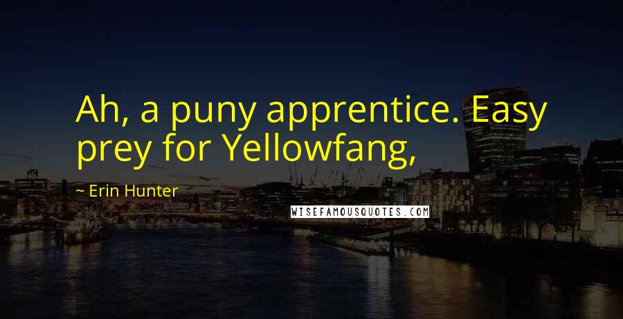 Erin Hunter Quotes: Ah, a puny apprentice. Easy prey for Yellowfang,