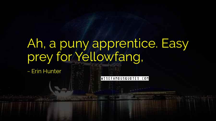 Erin Hunter Quotes: Ah, a puny apprentice. Easy prey for Yellowfang,