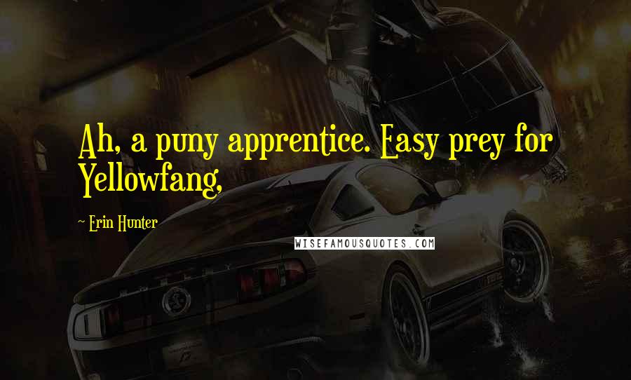 Erin Hunter Quotes: Ah, a puny apprentice. Easy prey for Yellowfang,