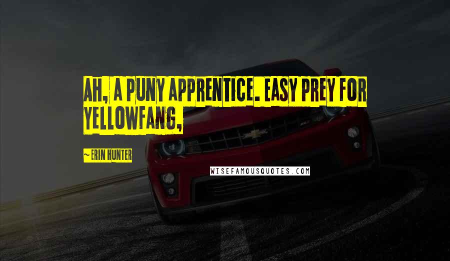 Erin Hunter Quotes: Ah, a puny apprentice. Easy prey for Yellowfang,