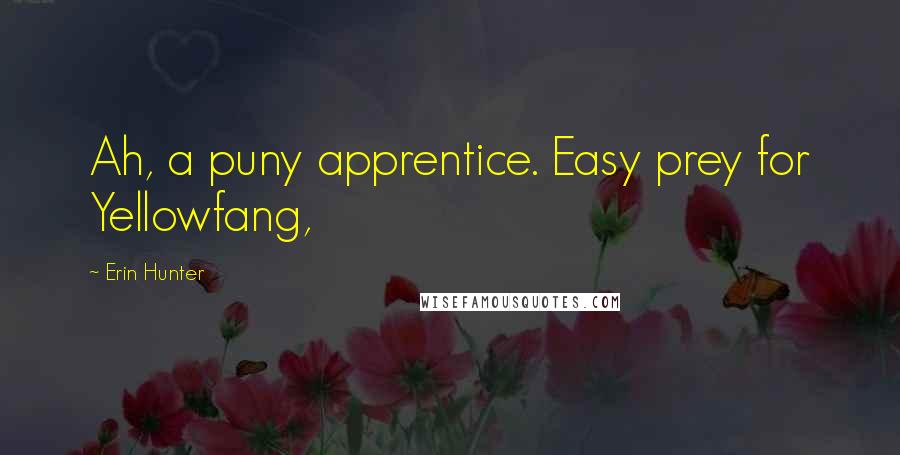 Erin Hunter Quotes: Ah, a puny apprentice. Easy prey for Yellowfang,