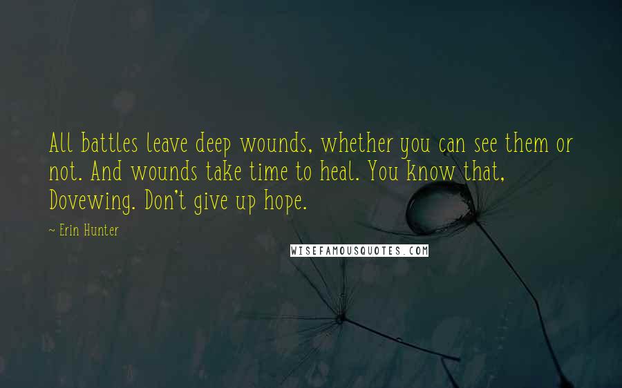 Erin Hunter Quotes: All battles leave deep wounds, whether you can see them or not. And wounds take time to heal. You know that, Dovewing. Don't give up hope.