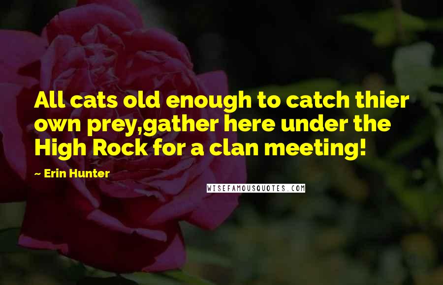 Erin Hunter Quotes: All cats old enough to catch thier own prey,gather here under the High Rock for a clan meeting!