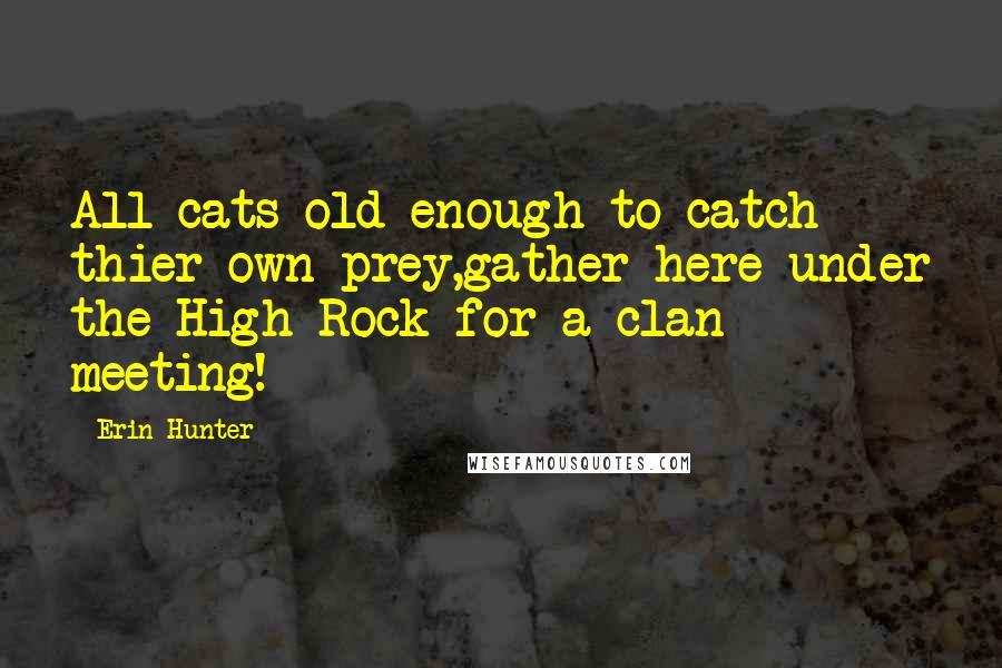 Erin Hunter Quotes: All cats old enough to catch thier own prey,gather here under the High Rock for a clan meeting!