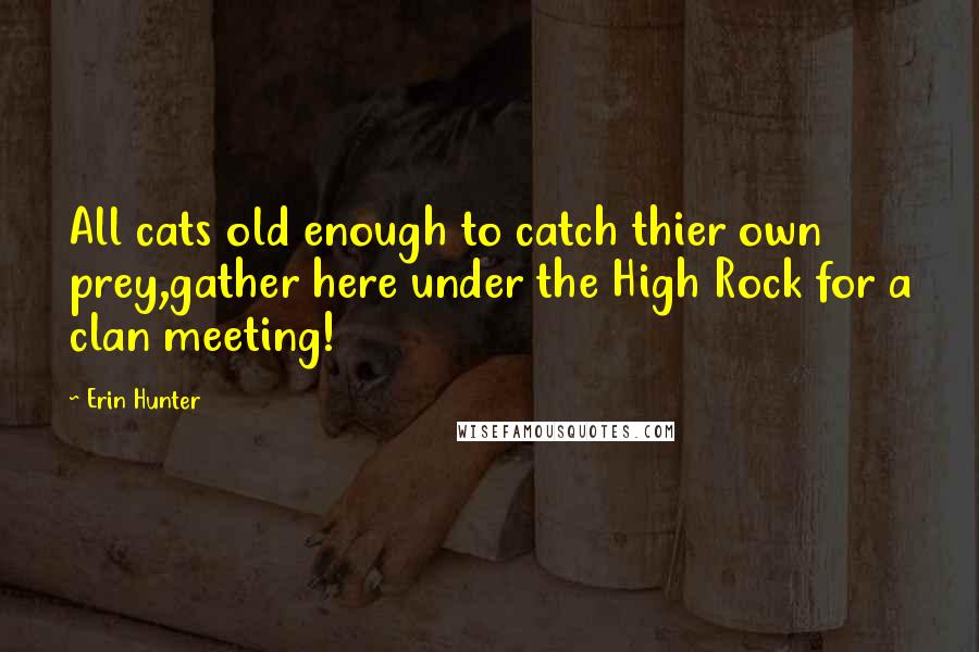 Erin Hunter Quotes: All cats old enough to catch thier own prey,gather here under the High Rock for a clan meeting!