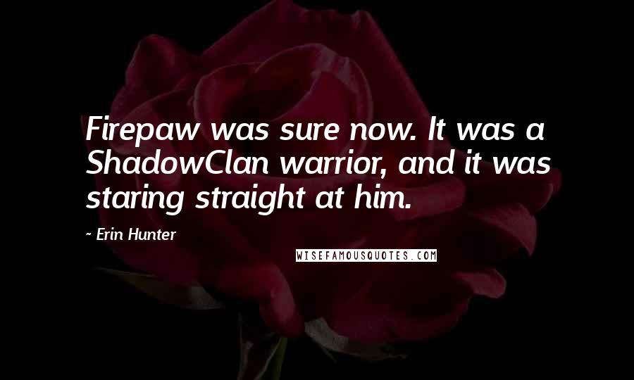 Erin Hunter Quotes: Firepaw was sure now. It was a ShadowClan warrior, and it was staring straight at him.