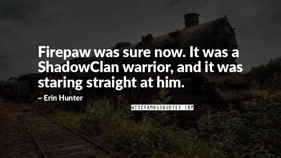 Erin Hunter Quotes: Firepaw was sure now. It was a ShadowClan warrior, and it was staring straight at him.