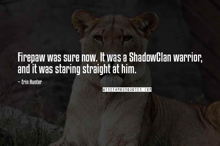 Erin Hunter Quotes: Firepaw was sure now. It was a ShadowClan warrior, and it was staring straight at him.