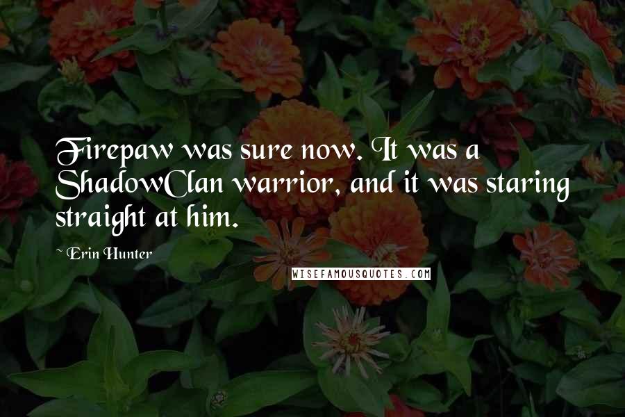 Erin Hunter Quotes: Firepaw was sure now. It was a ShadowClan warrior, and it was staring straight at him.