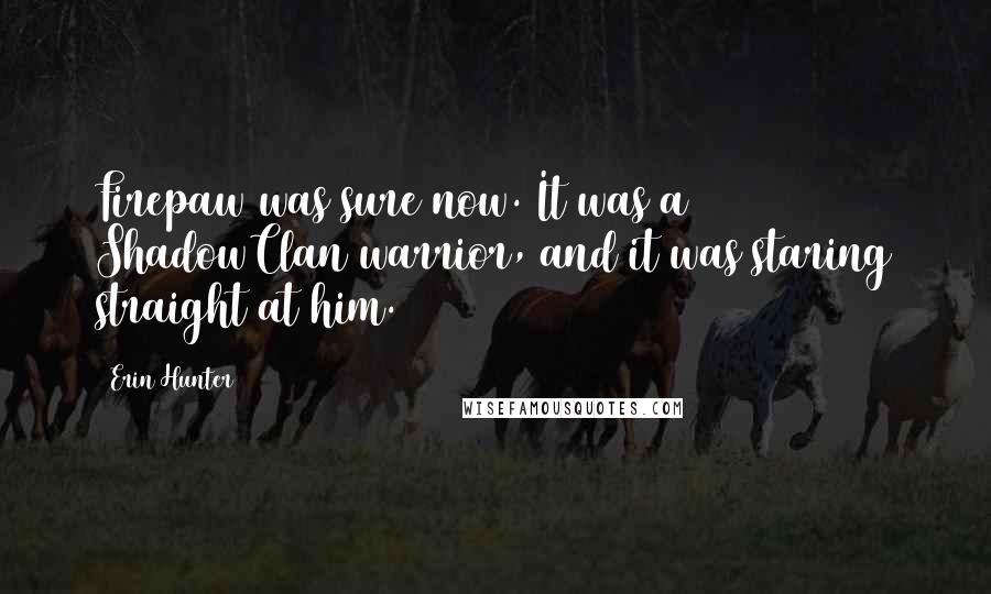 Erin Hunter Quotes: Firepaw was sure now. It was a ShadowClan warrior, and it was staring straight at him.