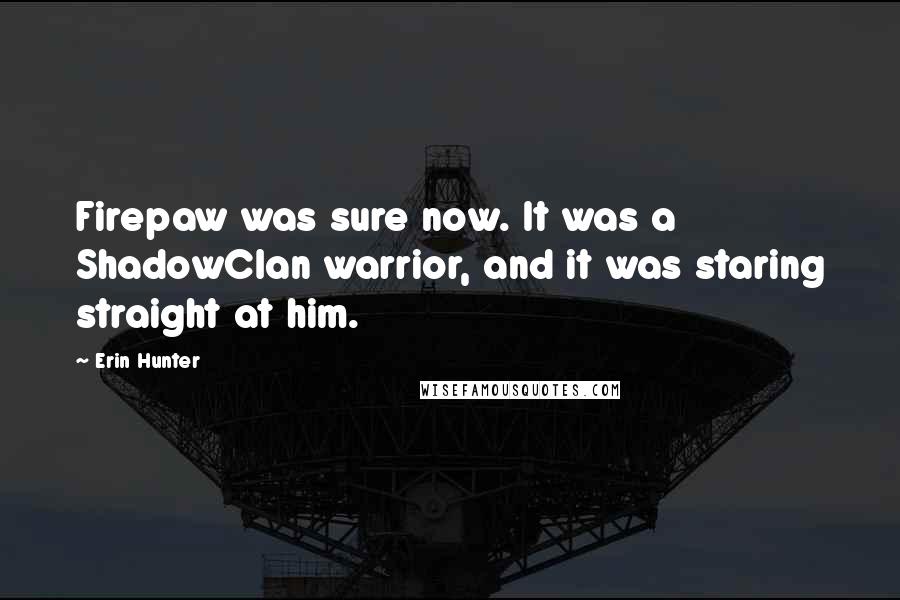 Erin Hunter Quotes: Firepaw was sure now. It was a ShadowClan warrior, and it was staring straight at him.