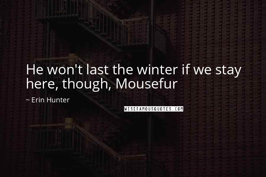 Erin Hunter Quotes: He won't last the winter if we stay here, though, Mousefur