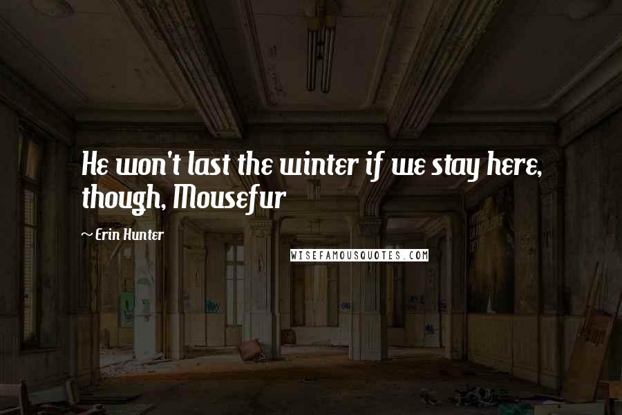 Erin Hunter Quotes: He won't last the winter if we stay here, though, Mousefur