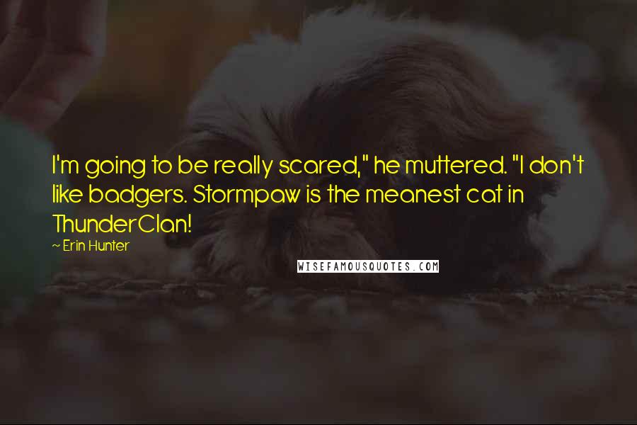 Erin Hunter Quotes: I'm going to be really scared," he muttered. "I don't like badgers. Stormpaw is the meanest cat in ThunderClan!