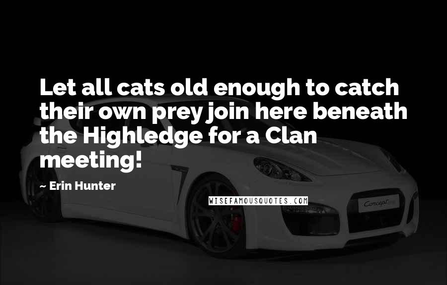 Erin Hunter Quotes: Let all cats old enough to catch their own prey join here beneath the Highledge for a Clan meeting!