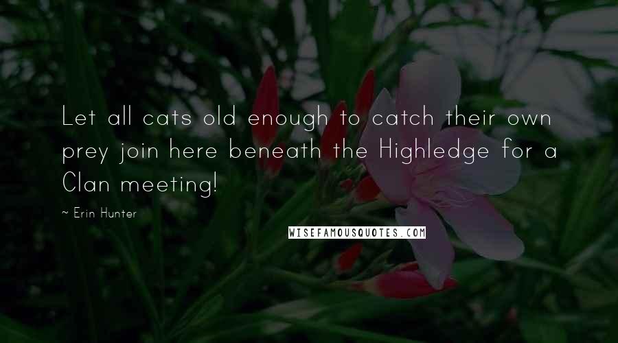 Erin Hunter Quotes: Let all cats old enough to catch their own prey join here beneath the Highledge for a Clan meeting!