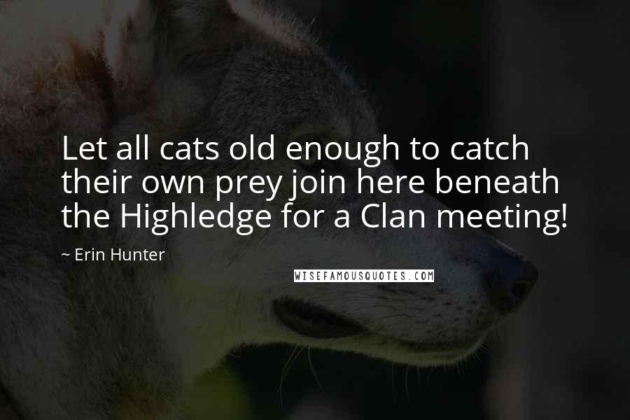 Erin Hunter Quotes: Let all cats old enough to catch their own prey join here beneath the Highledge for a Clan meeting!