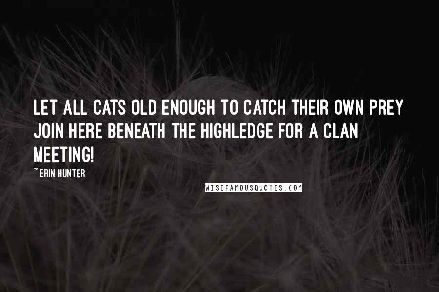 Erin Hunter Quotes: Let all cats old enough to catch their own prey join here beneath the Highledge for a Clan meeting!