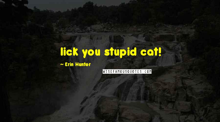 Erin Hunter Quotes: lick you stupid cat!
