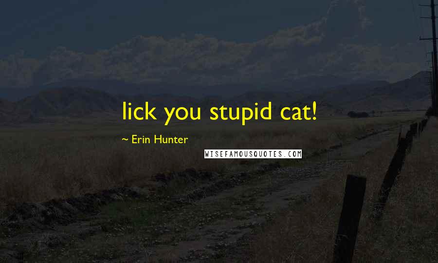 Erin Hunter Quotes: lick you stupid cat!
