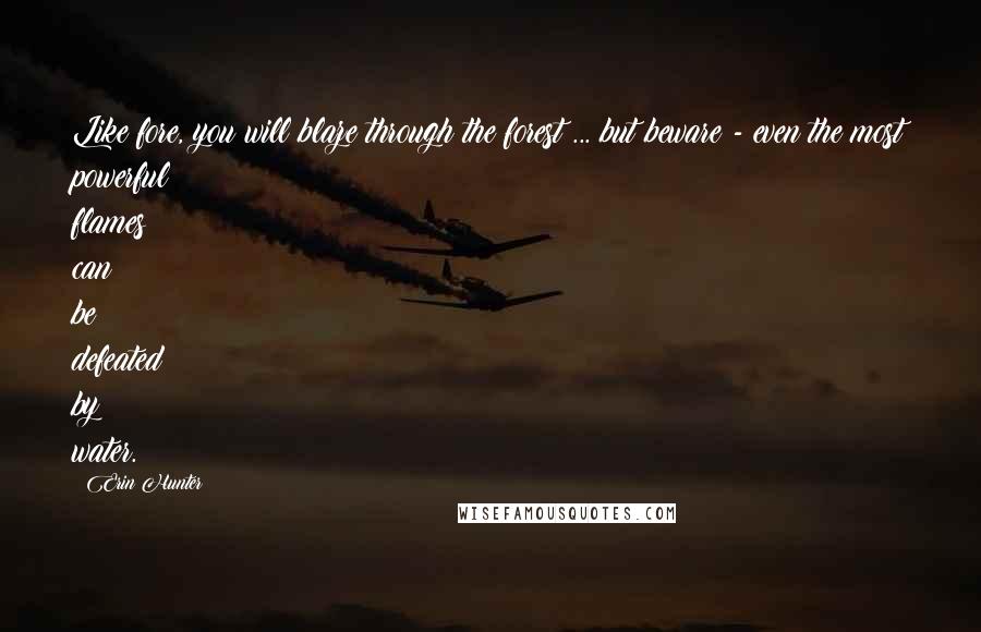 Erin Hunter Quotes: Like fore, you will blaze through the forest ... but beware - even the most powerful flames can be defeated by water.