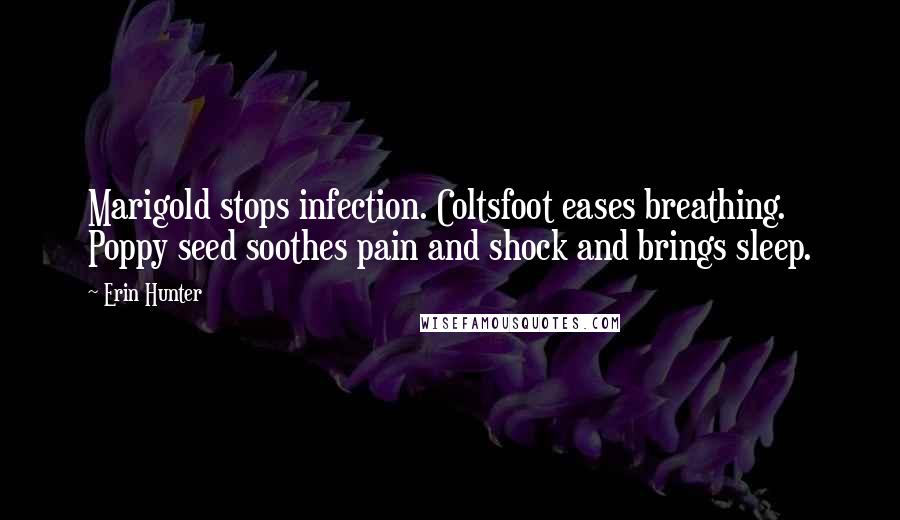 Erin Hunter Quotes: Marigold stops infection. Coltsfoot eases breathing. Poppy seed soothes pain and shock and brings sleep.