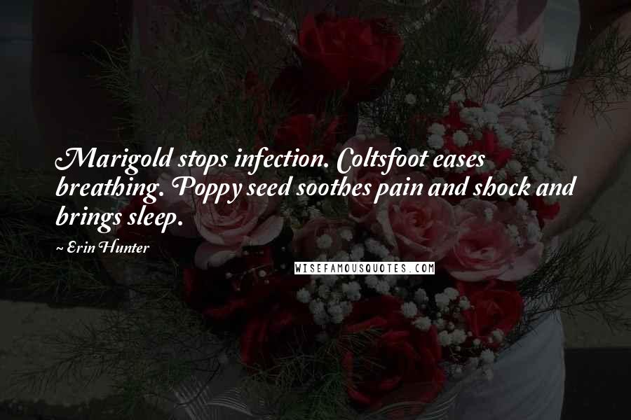 Erin Hunter Quotes: Marigold stops infection. Coltsfoot eases breathing. Poppy seed soothes pain and shock and brings sleep.