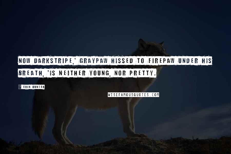 Erin Hunter Quotes: Now Darkstripe,' Graypaw hissed to Firepaw under his breath, 'is neither young, nor pretty.