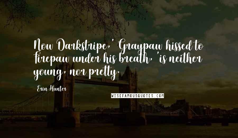 Erin Hunter Quotes: Now Darkstripe,' Graypaw hissed to Firepaw under his breath, 'is neither young, nor pretty.