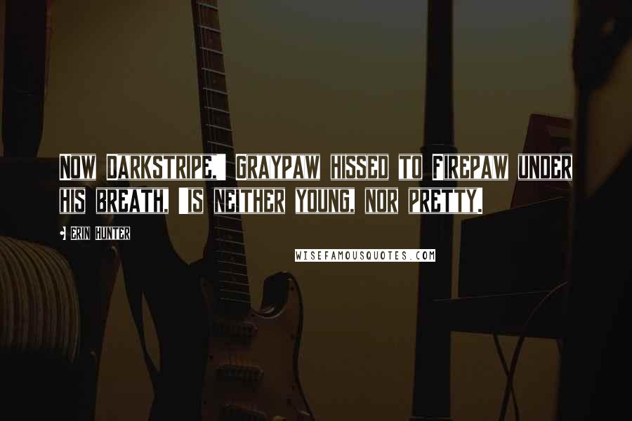 Erin Hunter Quotes: Now Darkstripe,' Graypaw hissed to Firepaw under his breath, 'is neither young, nor pretty.