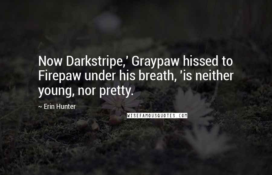 Erin Hunter Quotes: Now Darkstripe,' Graypaw hissed to Firepaw under his breath, 'is neither young, nor pretty.