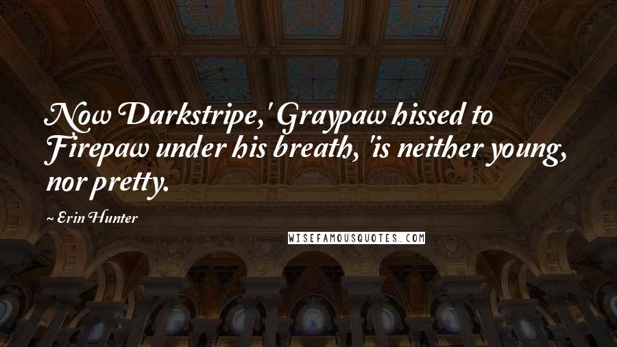 Erin Hunter Quotes: Now Darkstripe,' Graypaw hissed to Firepaw under his breath, 'is neither young, nor pretty.