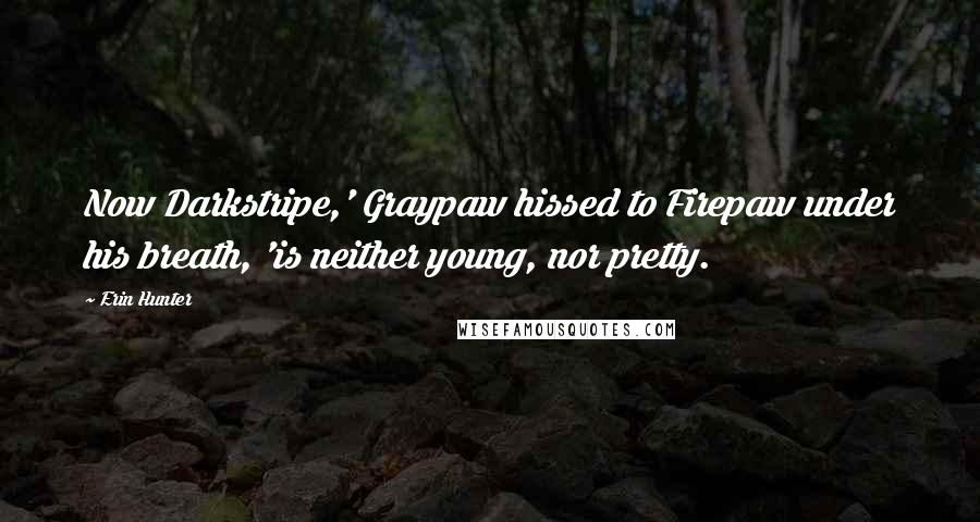 Erin Hunter Quotes: Now Darkstripe,' Graypaw hissed to Firepaw under his breath, 'is neither young, nor pretty.