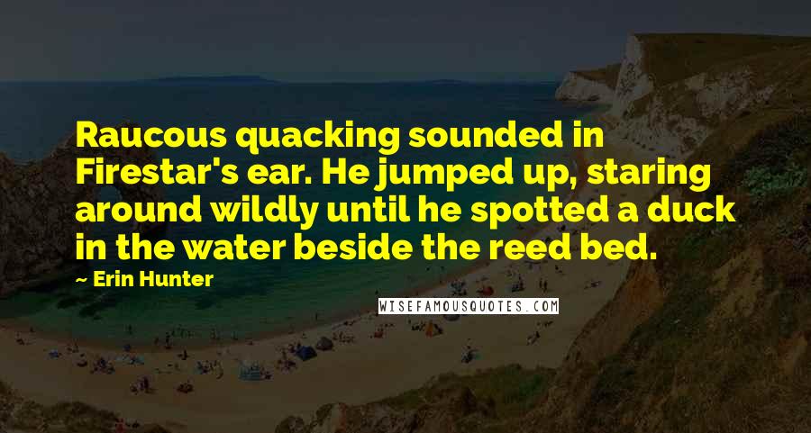 Erin Hunter Quotes: Raucous quacking sounded in Firestar's ear. He jumped up, staring around wildly until he spotted a duck in the water beside the reed bed.
