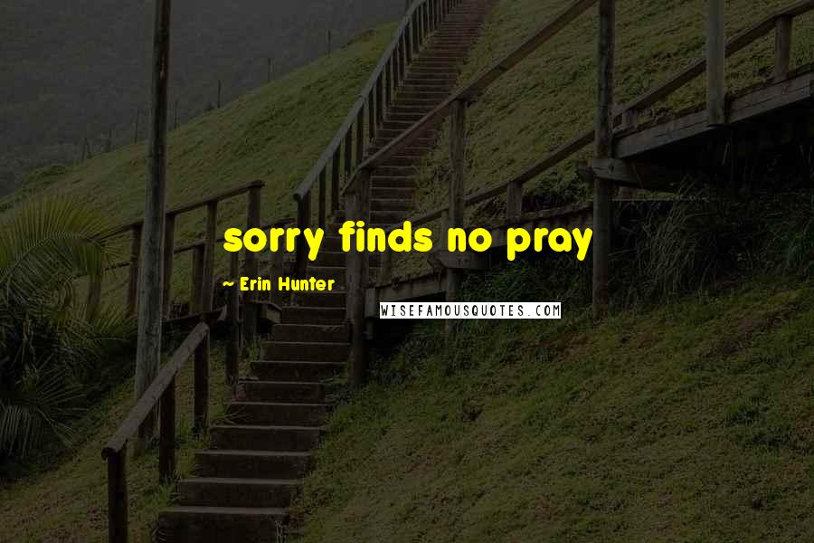 Erin Hunter Quotes: sorry finds no pray