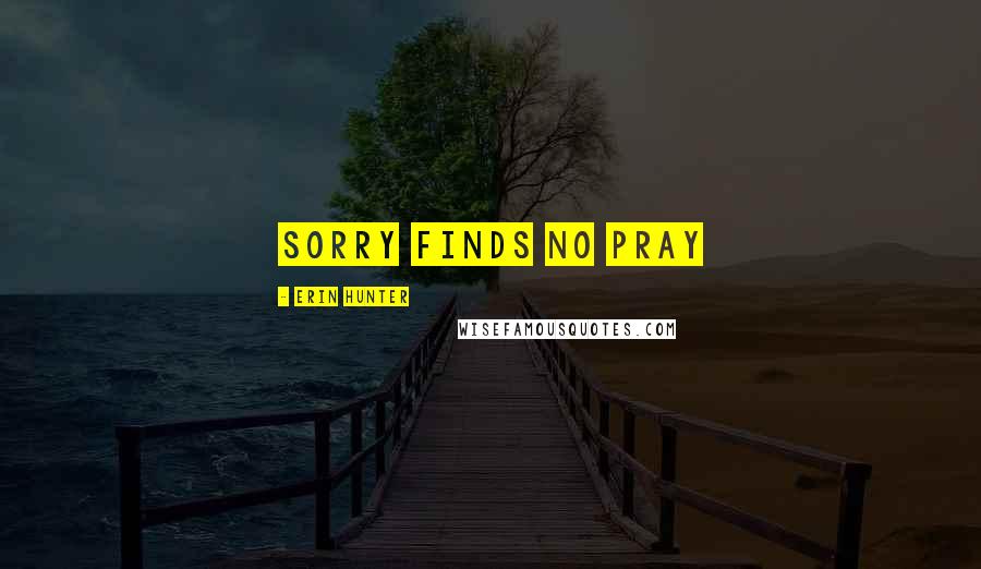 Erin Hunter Quotes: sorry finds no pray