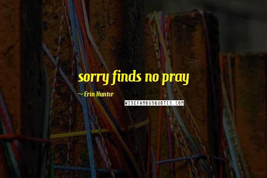 Erin Hunter Quotes: sorry finds no pray