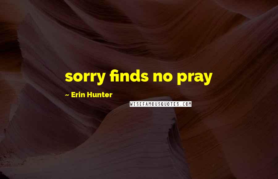 Erin Hunter Quotes: sorry finds no pray