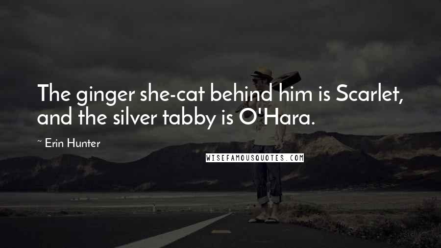 Erin Hunter Quotes: The ginger she-cat behind him is Scarlet, and the silver tabby is O'Hara.