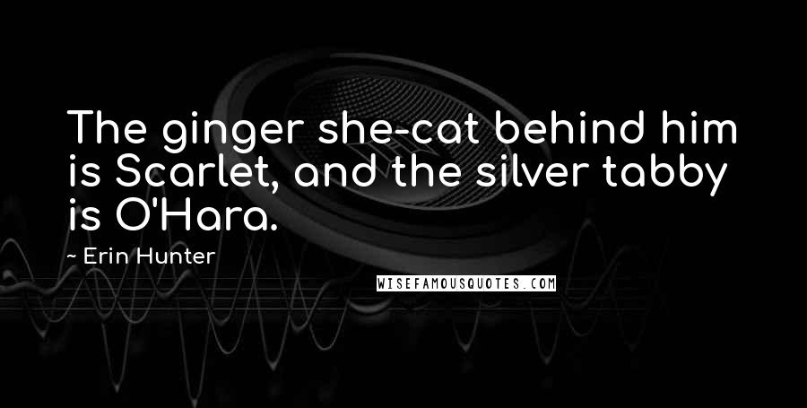 Erin Hunter Quotes: The ginger she-cat behind him is Scarlet, and the silver tabby is O'Hara.