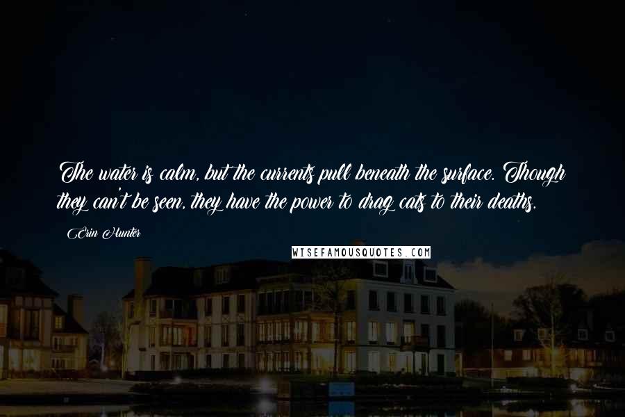 Erin Hunter Quotes: The water is calm, but the currents pull beneath the surface. Though they can't be seen, they have the power to drag cats to their deaths.