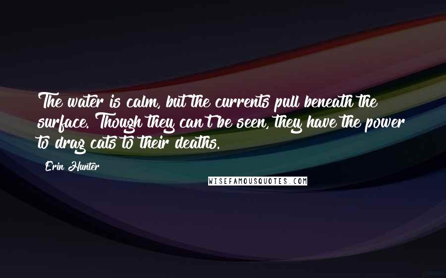 Erin Hunter Quotes: The water is calm, but the currents pull beneath the surface. Though they can't be seen, they have the power to drag cats to their deaths.