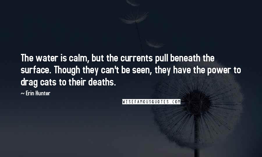 Erin Hunter Quotes: The water is calm, but the currents pull beneath the surface. Though they can't be seen, they have the power to drag cats to their deaths.